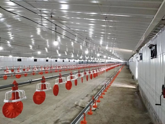 Buy Modern Steel Structure Poultry House Chicken Coop Prefab Farm Buildings Customized online manufacture