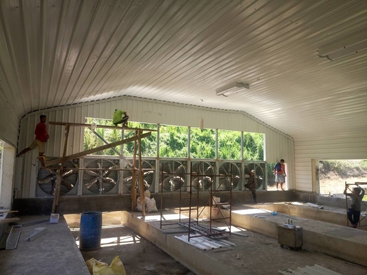 Buy Prefab Light Steel Structure Poultry House Galvanized Steel Frame Chicken Coop online manufacture