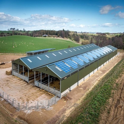 Buy Painted Chicken Steel Structure Poultry House ASTM DIN GB JIS Standard online manufacture