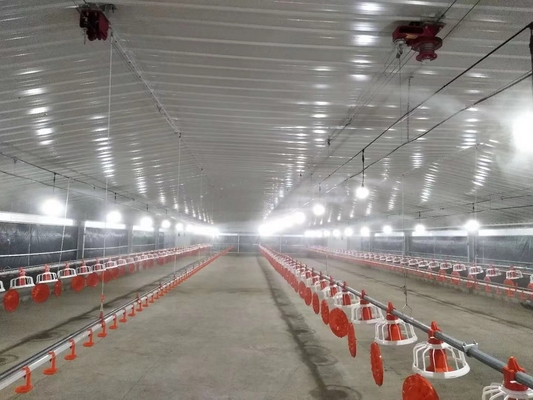 Buy Galvanized Prefabricated Steel Structure Poultry House Chicken House Coop Fireproof online manufacture