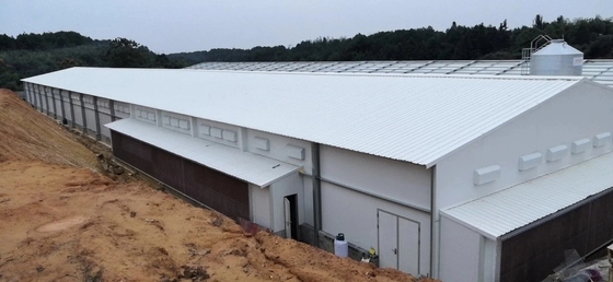 Buy Customized Q235B Q355B Steel Structure Poultry Sheds Galvanized Steel Farm House online manufacture