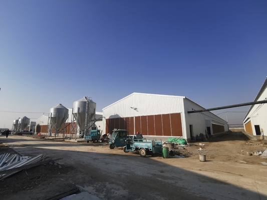 Buy Galvanized Full Antomatic Steel Poultry Farm Shed Bird House Prefabricated online manufacture
