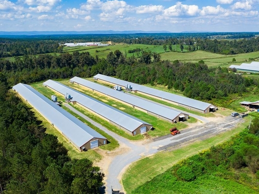 Buy Prefab Steel Structure Chicken House Fireproof Farm Steel Frame Building Construction online manufacture