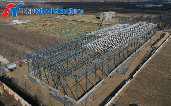 Buy Bim Drawing Steel Structure Warehouse Customization Custom Modular Steel Frame Storage Building Strong Durable Structure online manufacture