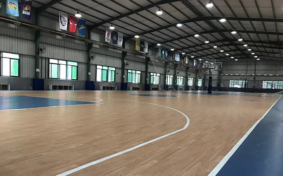 Custom Prefabricated Steel Structure Building Stadium Gym Sports Hall Gymnasium