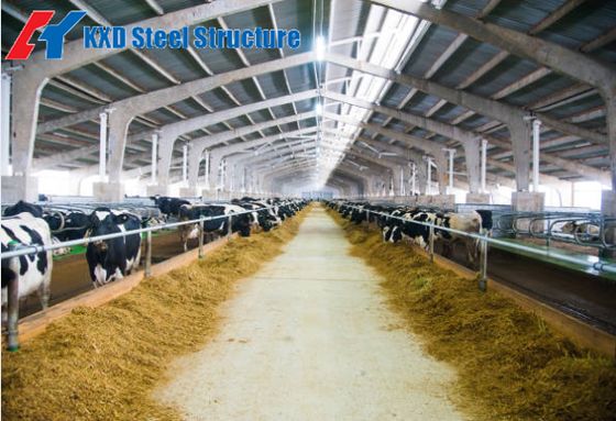 Prefabricated Steel Structure Warehouse with Portal Structure Frame PVDF/PTFE Coated and One-Stop Service