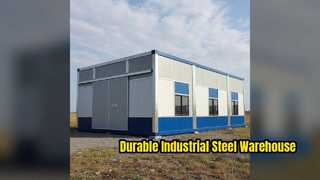 Durable Steel Structure Warehouse Industrial Storage Solution
