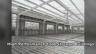 Custom Insulated Cold Storage Steel Warehouse Solutions